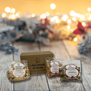 KIT STELLA DI NATALE